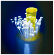 (FIBER OPTICS PHOTO)